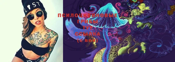 дживик Лихославль