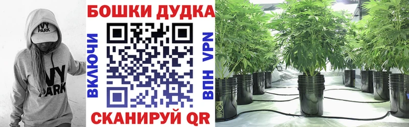 Каннабис White Widow  Купить где  Зеленодольск 